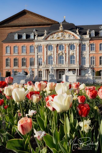 Kurfürstliches Palais Palastgarten Trier