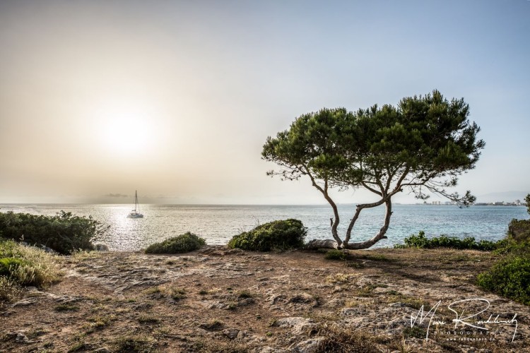 Catamaran in the last sunlight
