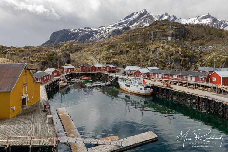 Nussfjord Lofoten