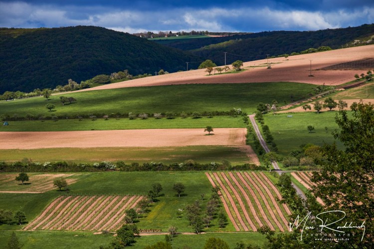 Countryside with fields
