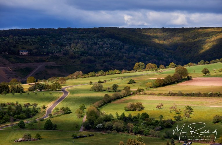 Landscape on the Moselle