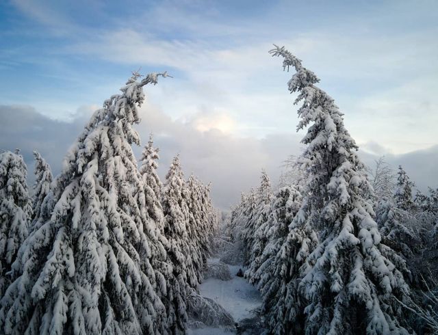 Started in green Trier that day, I couldn't believe to see such a white wonderland only a few kilometers from the gates of the city. Beautiful Hochwald #visit_trier #hochwald