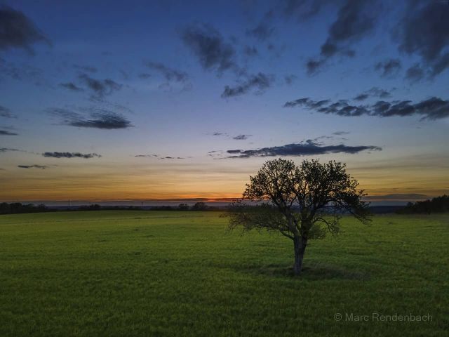 Sunset near Herresthal

This shot was taken with a drone. Amazing what is possible with this tiny 1/2" sensor of the Air 2.

#visittrier #triererleben #aussicht #perspective #entspannen #entdecken #träumen #rheinlandpfalz #rlperleben #rlp #triercity #triergermany #quattropole